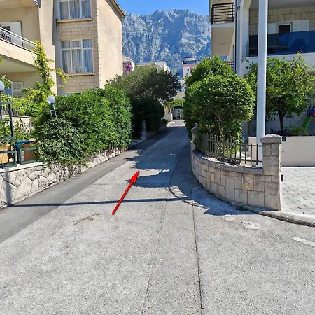Cvjet Daire